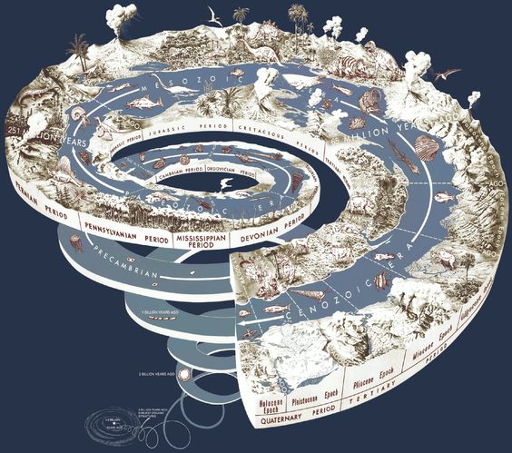 Evolution paths